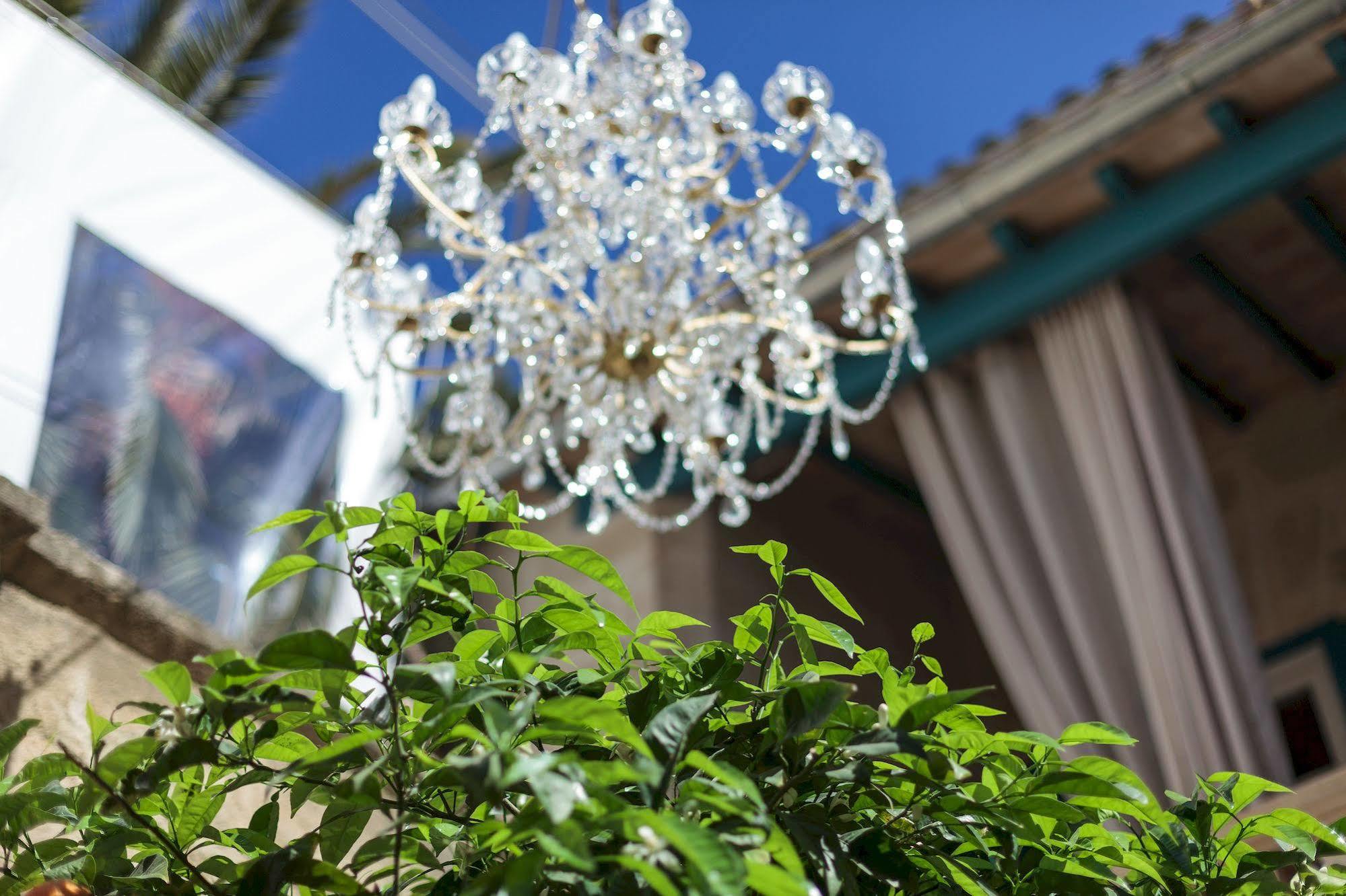Jardi De Ses Bruixes Boutique Hotel マオー エクステリア 写真